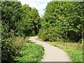 Path on Thames Chase in Upminster Ward