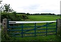 Gate and fields in Lowesby