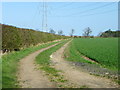 Farm track near Horndean in TD15 1XJ