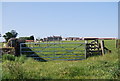 Gate on the path to Swinhoe in NE67 5AA