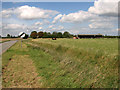 Pasture and farm shed, Tilney All Saints in PE34 4SR