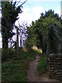 Footpath to Iken Cliff in Iken