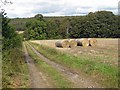 Bales near Whin Covert in YO60 7DF