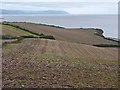 Fields at Quantock's Head in TA4 4DZ