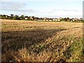 Arable land, Bo'ness in EH51 9TH