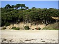 Highcliffe Castle beach in Highcliffe and Walkford