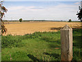 Harvested fields east of Setchey in Setchey