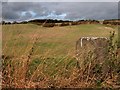 Old stone gatepost and farmland near Plumbley in S20 5PR