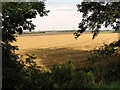 Fenland east of Setchey in Setchey