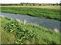 Fields beside the River Nar, Setchey in PE33 0AZ