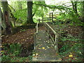 Footbridge in woodland in SA43 2DT