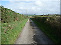 Lane to Hendre farm in SA43 2AN