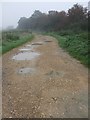 Track to Berryfields in HP18 1AR