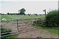 Footpath across a Field of Cows in DE13 8TR