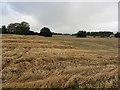 Harvested field above Linlithgow in EH49 6QW