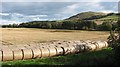 Round bales, Akeld in NE71 6TD