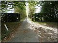Fine avenue of trees to Barkham Manor in TN22 3XD