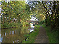 Approaching bridge no. 29, Macclesfield Canal in SK10 5DX