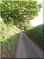 Lane near Underhill Cross in TA4 3SJ
