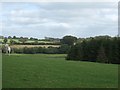Grassland and woodland north of Moretonhampstead in TQ13 8PZ