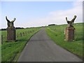 Eagles guard the approach road to Minsca Farm in DG11 3EX