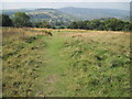 Footpath towards Tansley Knoll in DE4 5ES