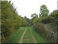 Track through Fineshade Wood in Duddington-with-Fineshade