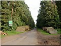 Footpath through Harlestone Firs in NN5 6UJ