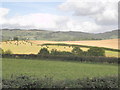 Farmland, near Combe Florey in TA4 3HX