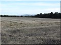 Newly harvested wheat field in EH19 3QS