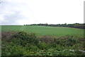 Farmland between Waren Mill and Budle in NE70 7EE