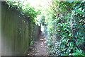 Footpath to Book Hurst Wood in GU6 7DT