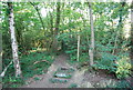 Footpath into Book Hurst Wood in GU6 7DT