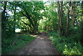 Footpath on the edge of Book Hurst Wood in GU6 7DT