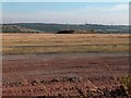 Wasteland - View over former Orgreave open cast mine workings in S60 8BR