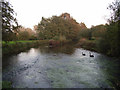 The River Kennet in SN8 2HA