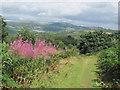 View towards Machen from Rudry Common in CF83 3EF