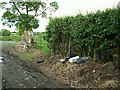 Fly-tipped rubbish in a country lane in CA4 8JQ