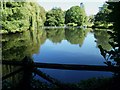 Lake at Darbyn's Brook in GU5 0RH
