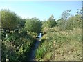 Stream under footpath in WF7 6BJ