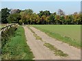 Farm track and turning leaves in CB25 9JD