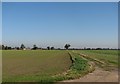 Fenland view near Eye Hall Farm in CB25 9JD