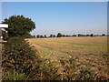 Stubble Field in Orwell & Villages Ward