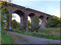Railway Viaduct, Lady Bridge in SK8 5EG