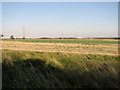 Fields east of the A15 road in DN20 9NH