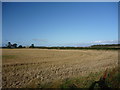 Rural East Lothian : Across The Field To Queenstonbank Farmhouse in EH39 5AG