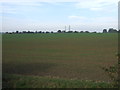 Farmland off the A162 in LS25 5PF