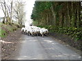 Road block, Milton of Drimmie in PH10 7JR