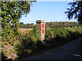 Friday Street Victorian Postbox in IP12 2RR
