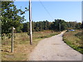 Sandlings Walk Bridleway to Wantisden Corner in IP12 2RR